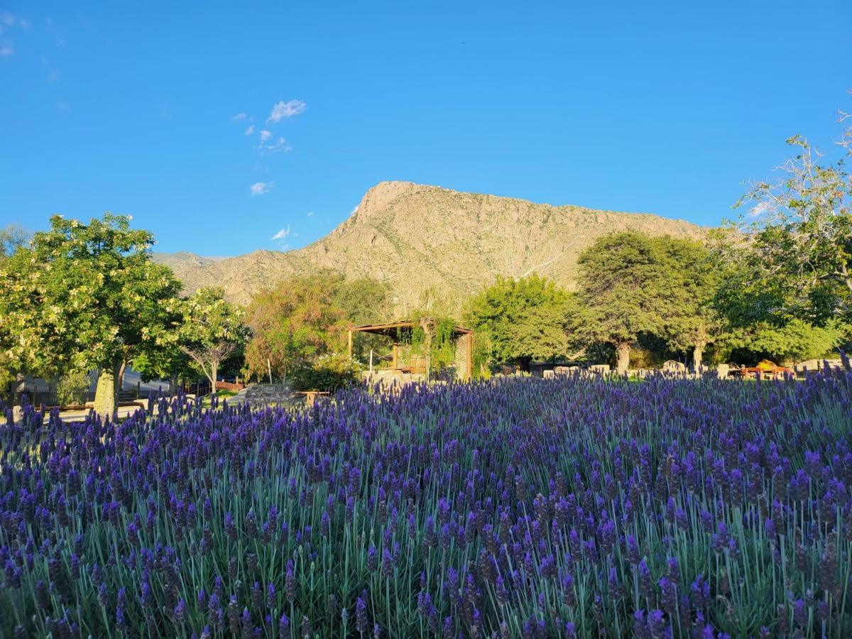 Casas Vinedos De Cafayate Alquiler Temporario 외부 사진